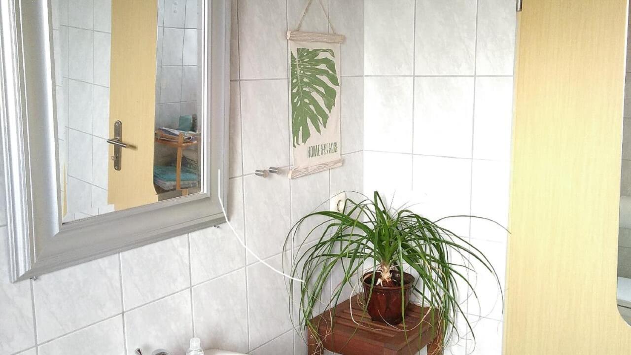 Ferienwohnung Steinwald Auslaeufer Mit Blick Auf Koesseine Waldershof Exterior foto